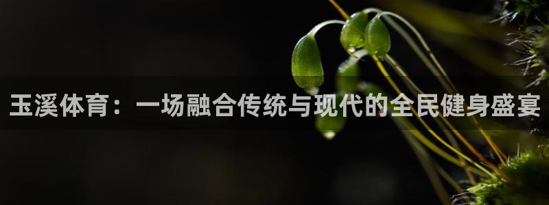 ug环球官网注册